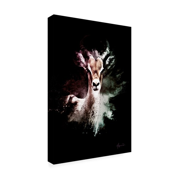 Philippe Hugonnard 'Wild Explosion Collection - The Antelope' Canvas Art,22x32